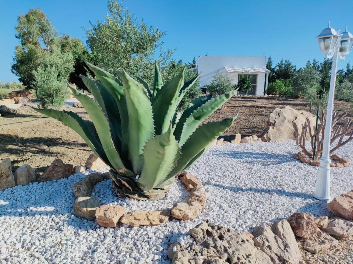 Il Giardino Di Afrodite Marinella di Selinunte Eksteriør bilde